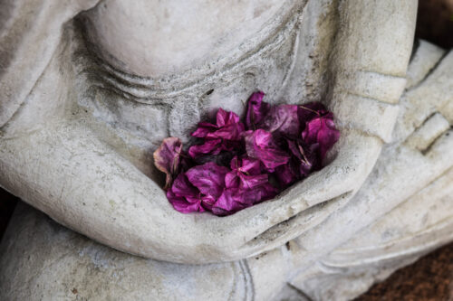 yoga retreat buddha