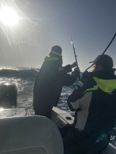 tuna fishing action